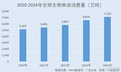 豐倍生物技術創新 構建綠色全產業鏈，引領生物柴油市場發展