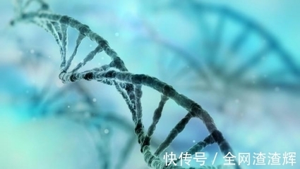 滅絕計劃還是生物革命？美國釋放10億基因改造蚊子的全球影響