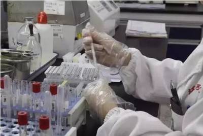 中小學編程與AI課程普及 面向未來的教育創新與挑戰