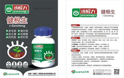 科技賦能根系養護 生物技術引領作物增產新篇章