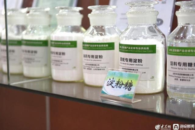 奮力走在前 爭當排頭兵 謀定全鏈產業發展之路 德州樂陵高標準食品產業園建設與生物技術推廣